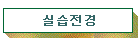 ǽ